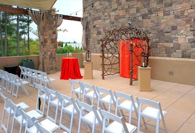 ホテル Embassy Suites By Hilton Raleigh Durham Airport Brier Creek