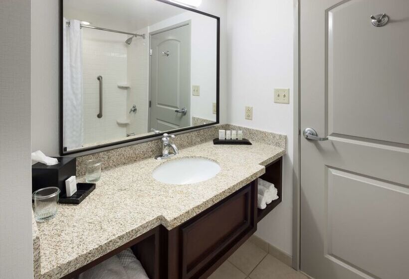 Отель Embassy Suites By Hilton Tampa Brandon