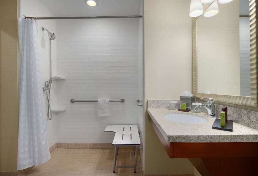 Отель Embassy Suites By Hilton Tampa Brandon