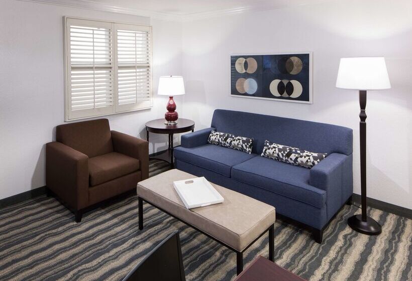 Отель Embassy Suites By Hilton Tampa Brandon