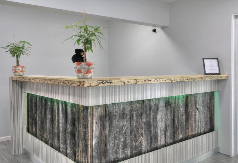 ホテル Gatlinburg River Inn