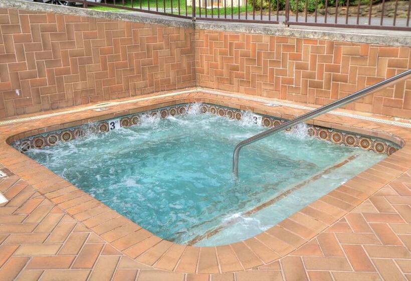 ホテル Gatlinburg River Inn