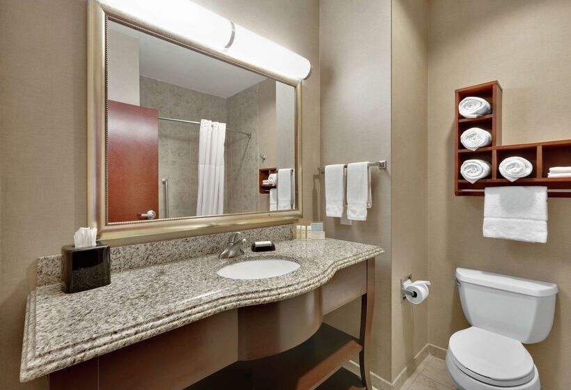 בית מלון כפרי Hampton Inn & Suites Abilene I 20