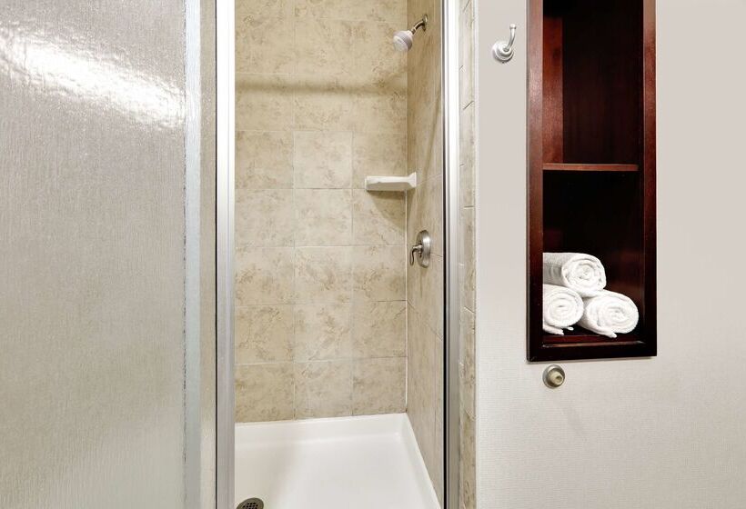 בית מלון כפרי Hampton Inn & Suites Abilene I 20