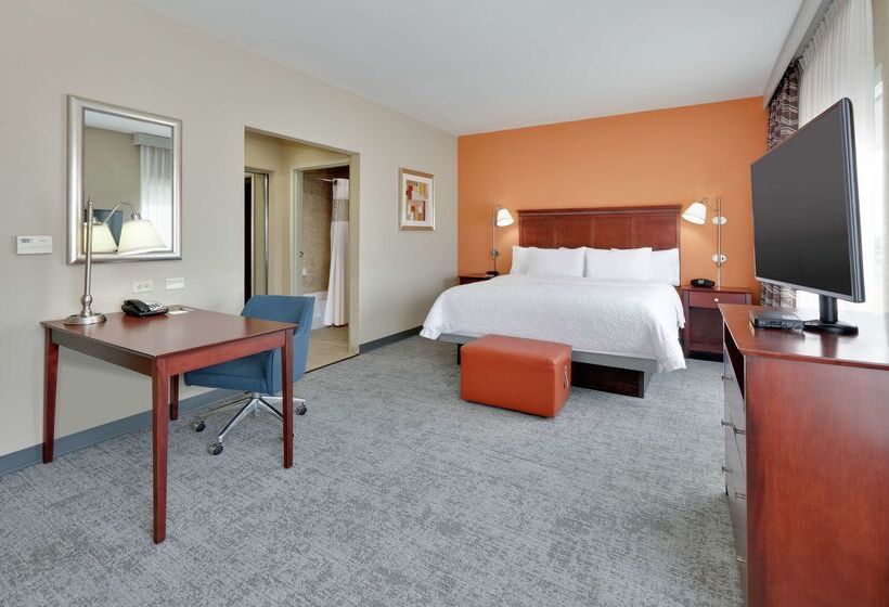 בית מלון כפרי Hampton Inn & Suites Abilene I 20