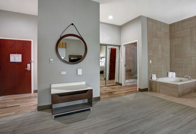 酒店 Hampton Inn & Suites Dallas Desoto