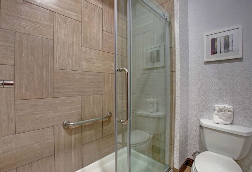 ホテル Hampton Inn & Suites Dallas Desoto