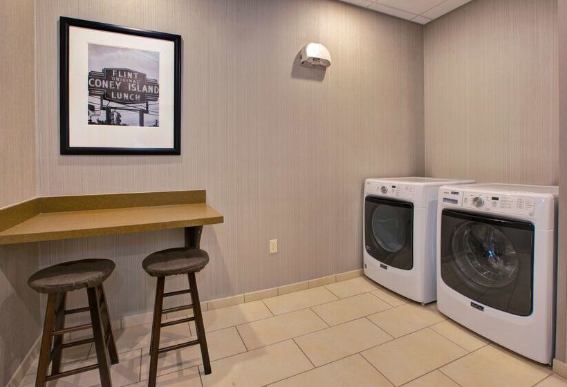 Отель Hampton Inn & Suites Flint/grand Blanc