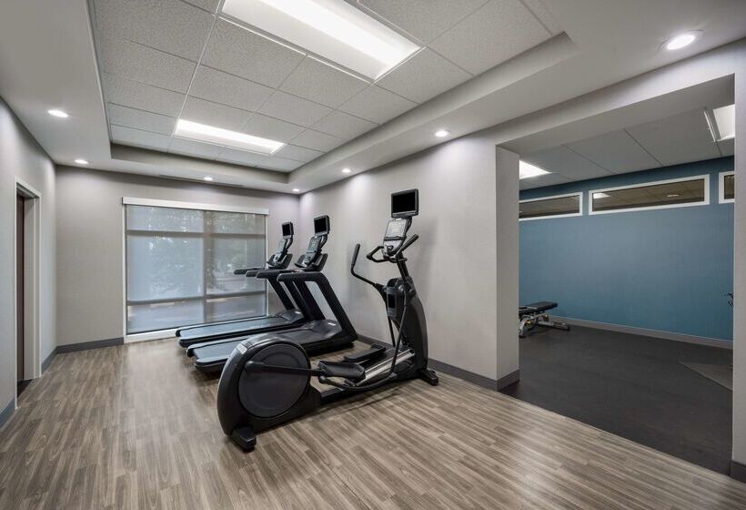 ホテル Hampton Inn & Suites Fredericksburg At Celebrate Virginia