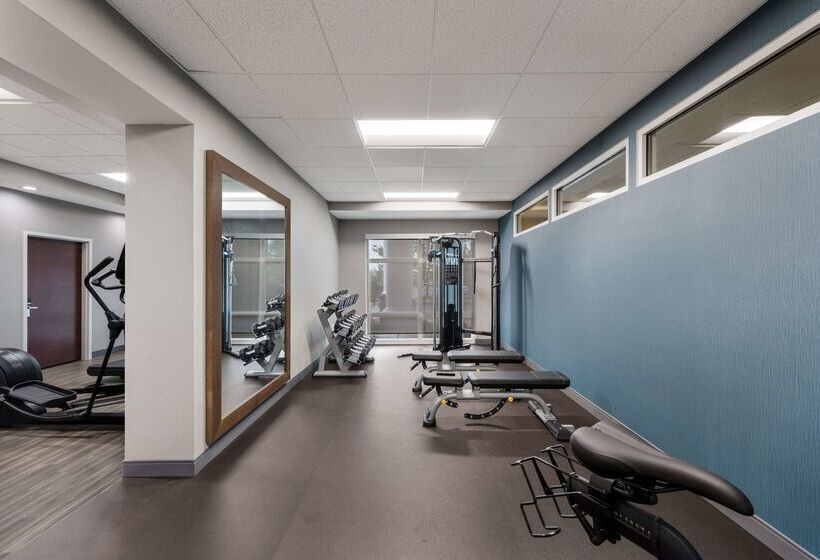 ホテル Hampton Inn & Suites Fredericksburg At Celebrate Virginia