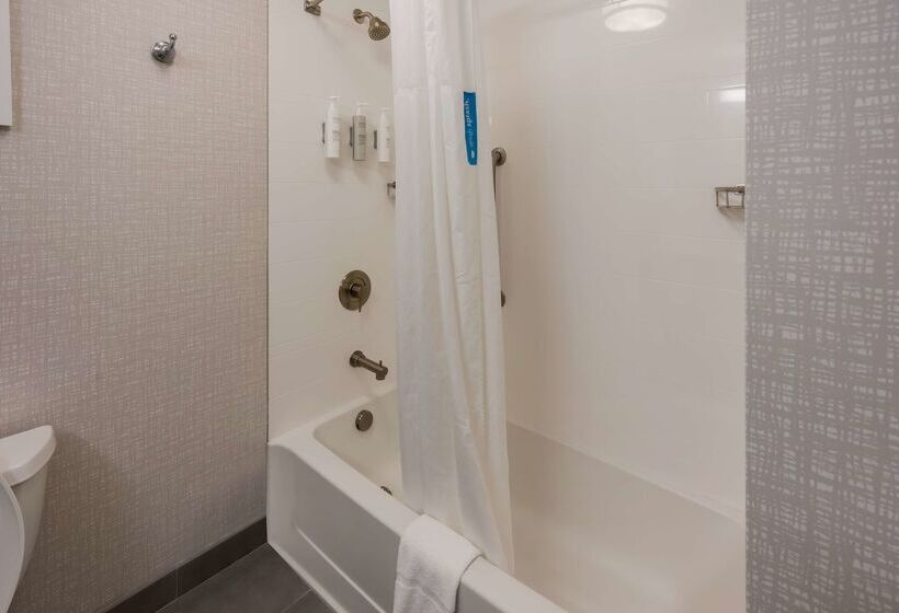 ホテル Hampton Inn & Suites Fredericksburg At Celebrate Virginia