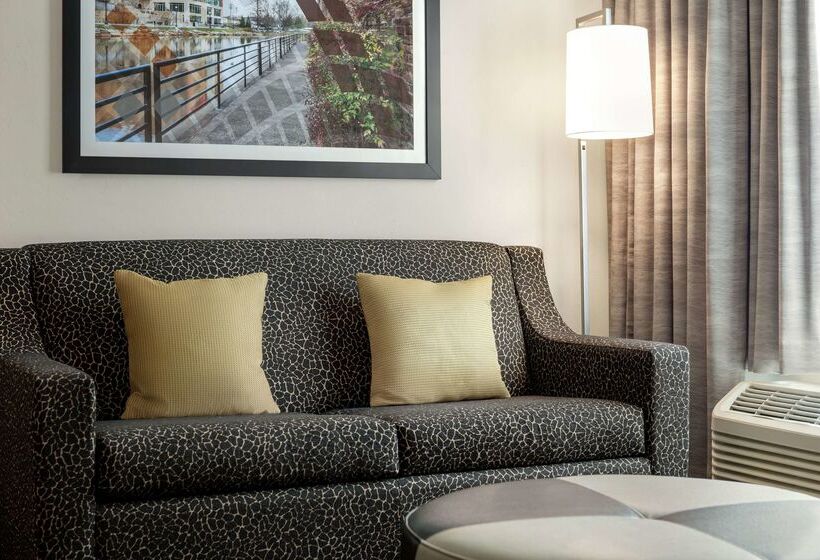 ホテル Hampton Inn & Suites Greenville Downtown Riverplace
