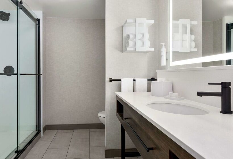 ホテル Hampton Inn & Suites Greenville Downtown Riverplace