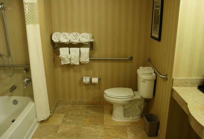 Отель Hampton Inn & Suites Mobile Providence Park/airport