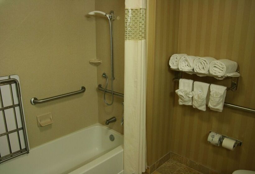 Отель Hampton Inn & Suites Mobile Providence Park/airport