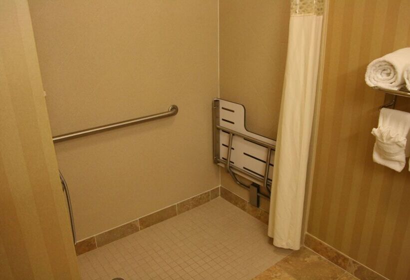 هتل Hampton Inn & Suites Mobile Providence Park/airport