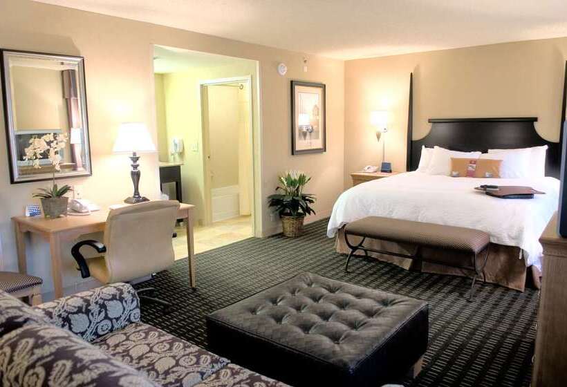 هتل Hampton Inn & Suites Mobile Providence Park/airport