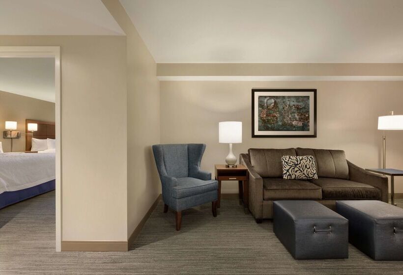 هتل Hampton Inn & Suites Nashville Downtown
