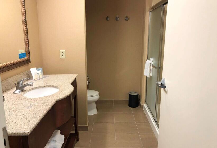 酒店 Hampton Inn & Suites Norfolk Airport