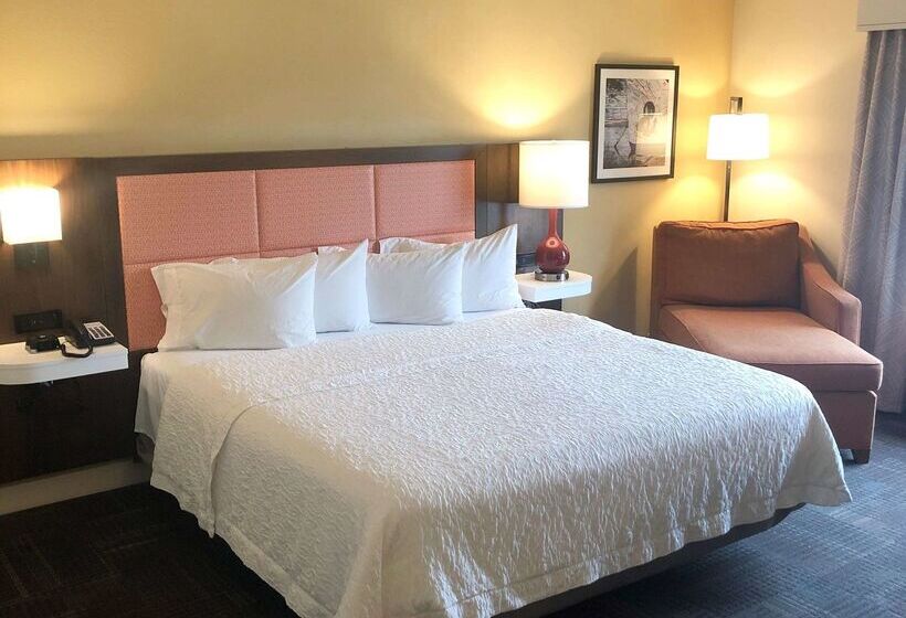 酒店 Hampton Inn & Suites Norfolk Airport