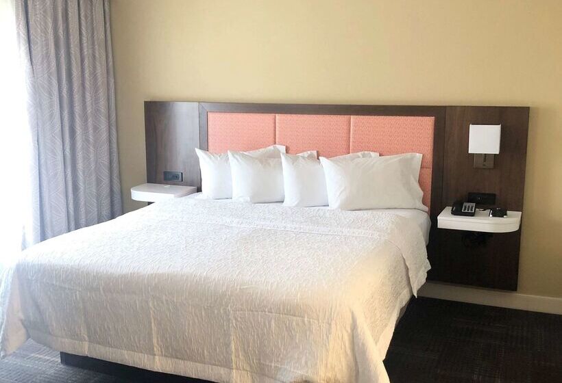 酒店 Hampton Inn & Suites Norfolk Airport
