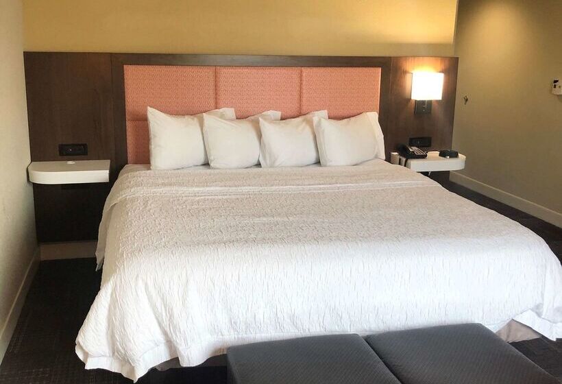 酒店 Hampton Inn & Suites Norfolk Airport