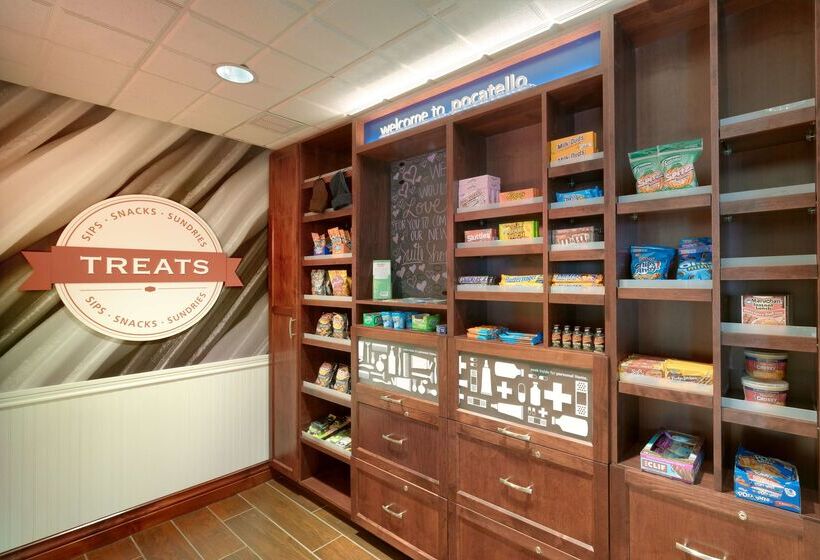 فندق Hampton Inn & Suites Pocatello