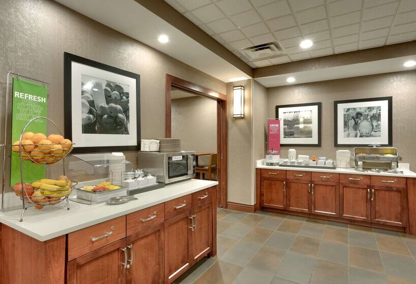 فندق Hampton Inn & Suites Pocatello