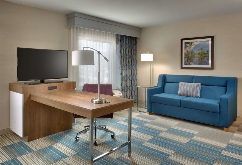 فندق Hampton Inn & Suites Pocatello