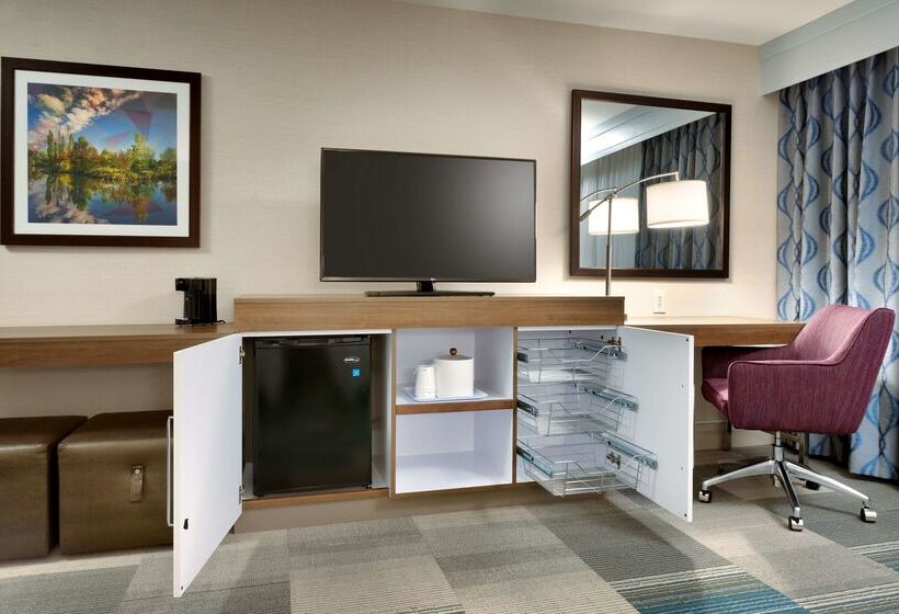 فندق Hampton Inn & Suites Pocatello