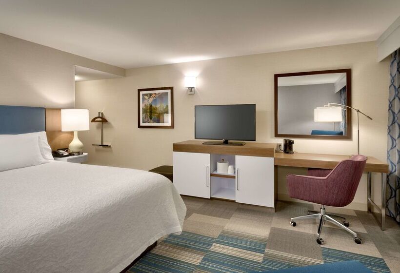 فندق Hampton Inn & Suites Pocatello