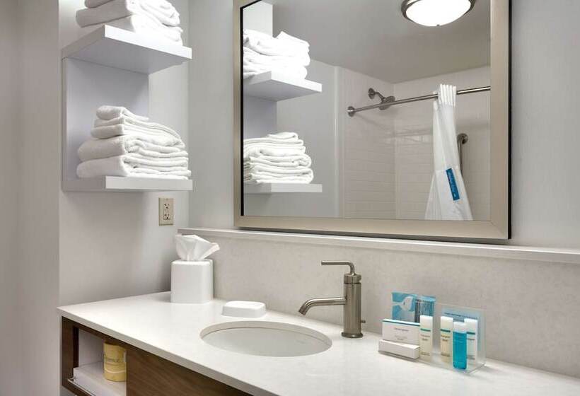 فندق Hampton Inn & Suites Pocatello