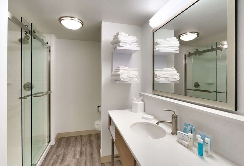 فندق Hampton Inn & Suites Pocatello