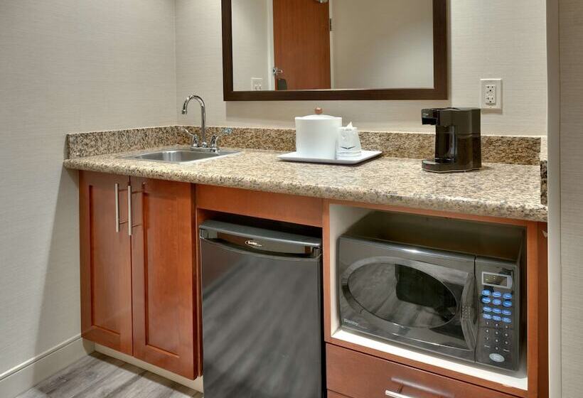 فندق Hampton Inn & Suites Pocatello