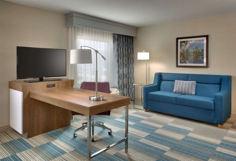 فندق Hampton Inn & Suites Pocatello