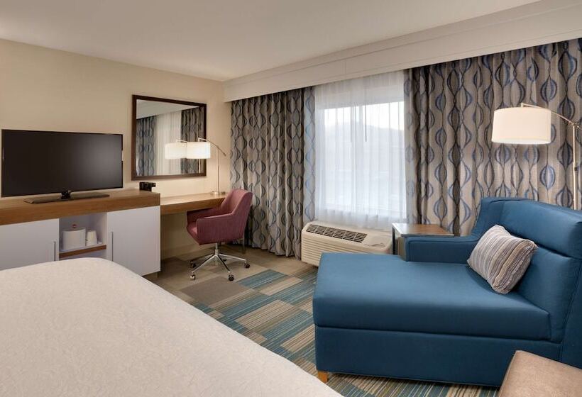 فندق Hampton Inn & Suites Pocatello