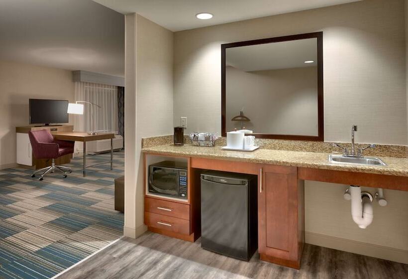 فندق Hampton Inn & Suites Pocatello