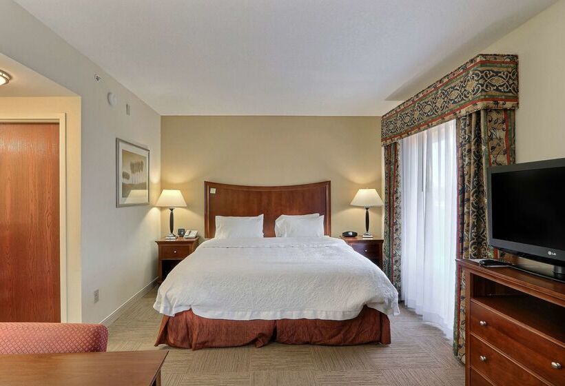 هتل Hampton Inn & Suites Savannah   I 95 South   Gateway