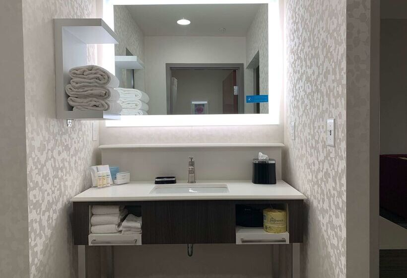 酒店 Hampton Inn Fort Stockton