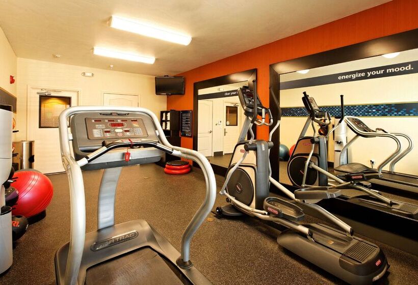 فندق Hampton Inn Montrose