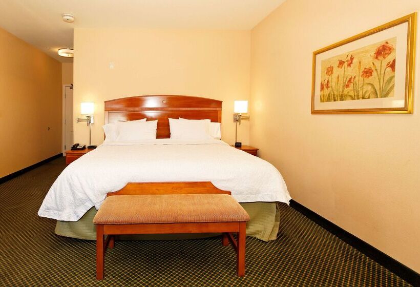 فندق Hampton Inn Montrose