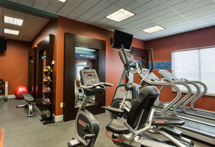 فندق Hampton Inn & Suites Pharr