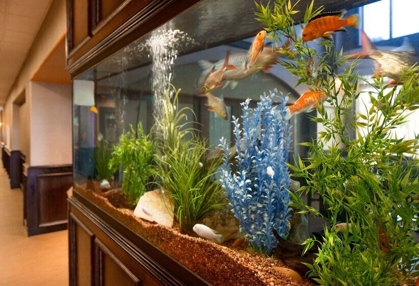 فندق Hampton Inn & Suites Pharr