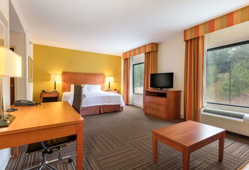 فندق Hampton Inn Ringgold Ft. Oglethorpe