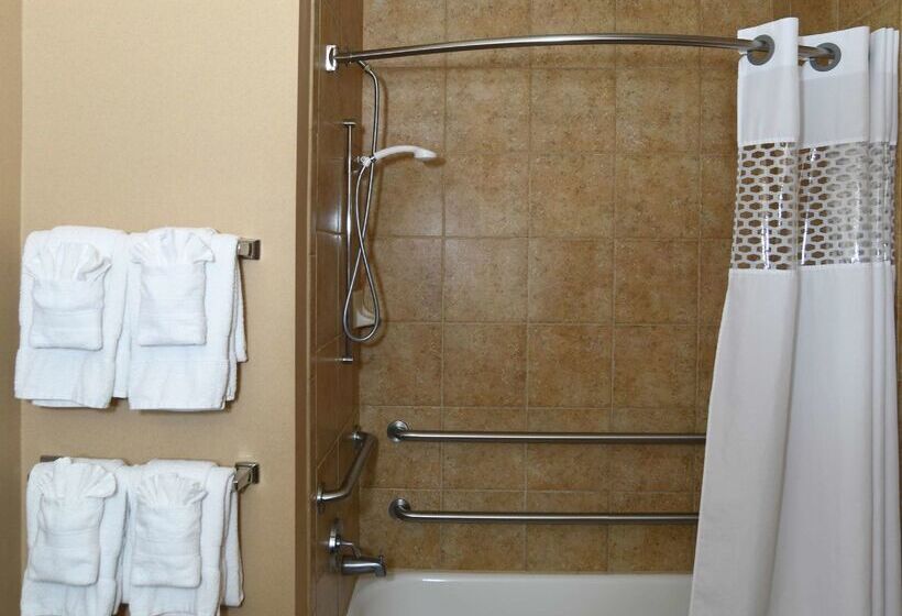 فندق Hampton Inn Seguin