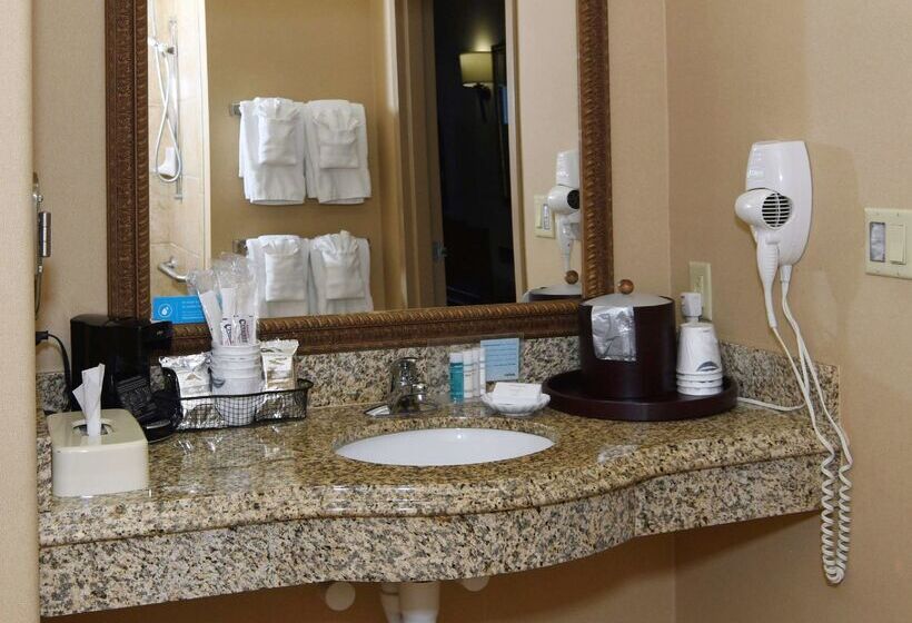 فندق Hampton Inn Seguin