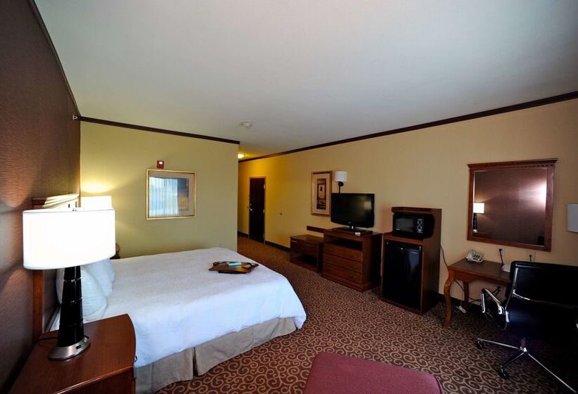 فندق Hampton Inn Seguin
