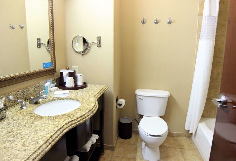 فندق Hampton Inn Seguin