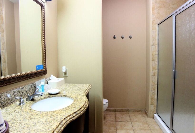 فندق Hampton Inn Seguin
