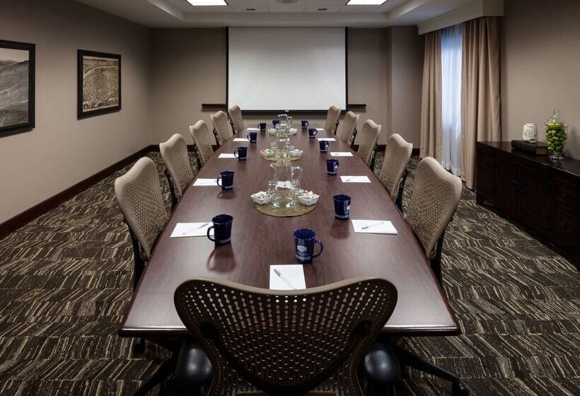 בית מלון כפרי Hampton Inn & Suites Boisedowntown